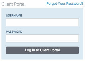 Picture of the Log In form for the Client Portal on the Digital Bridge website