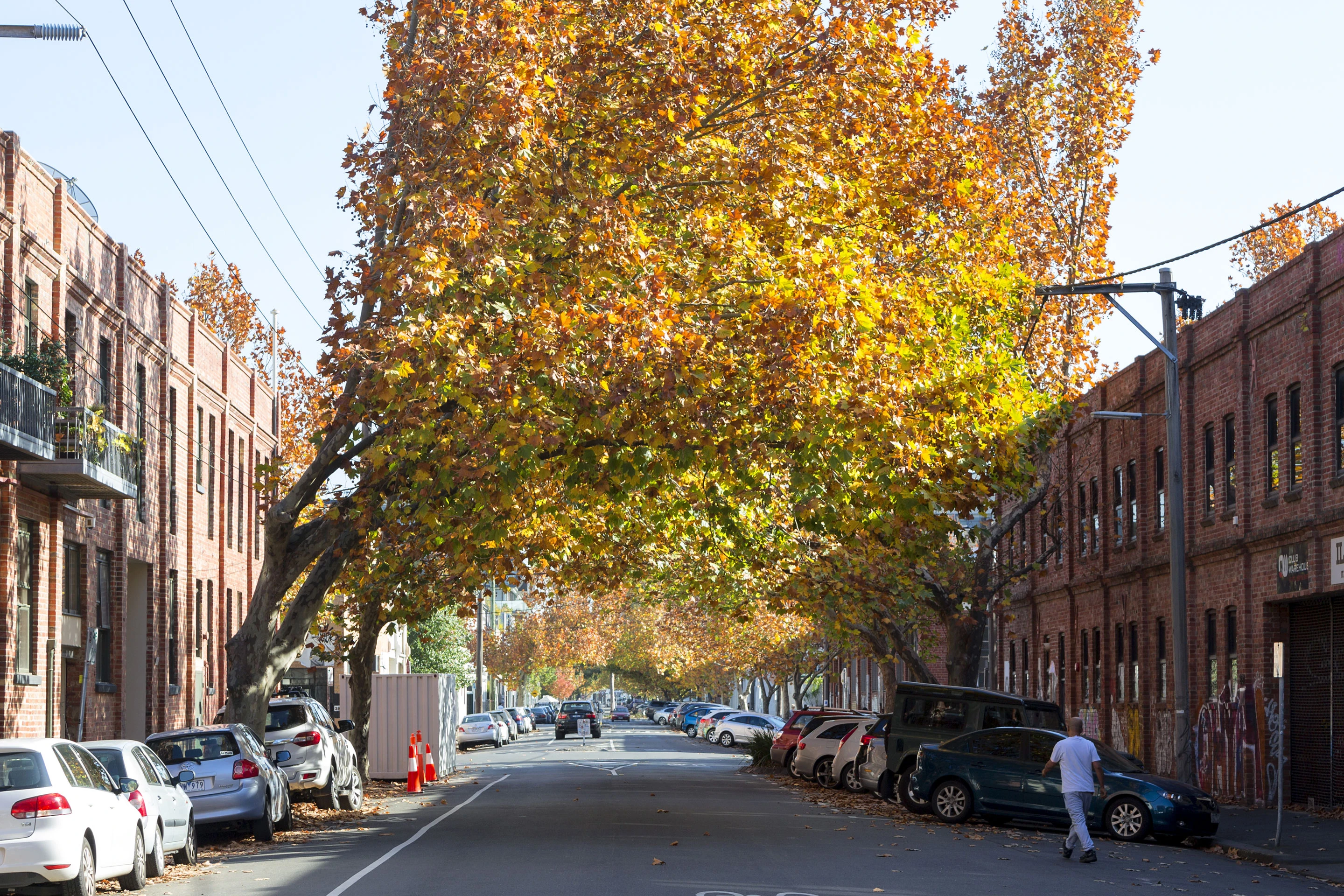Digital Bridge accepted onto Vic Gov eServices Panel