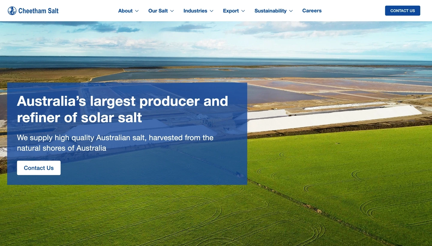 Cheetham Salt